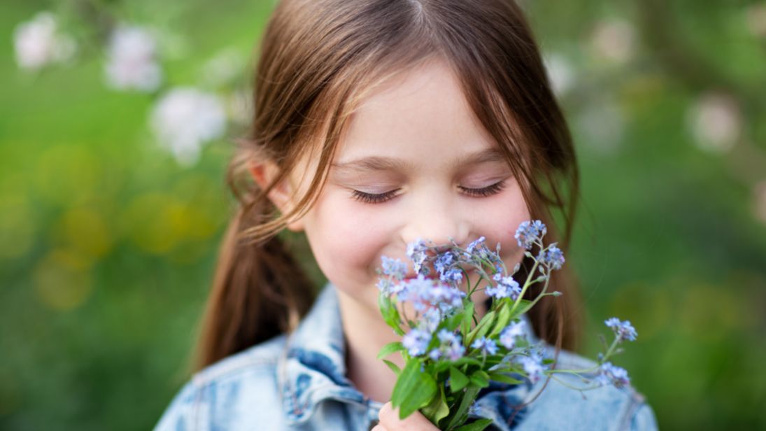 © Anna Ritter/AdobeStock